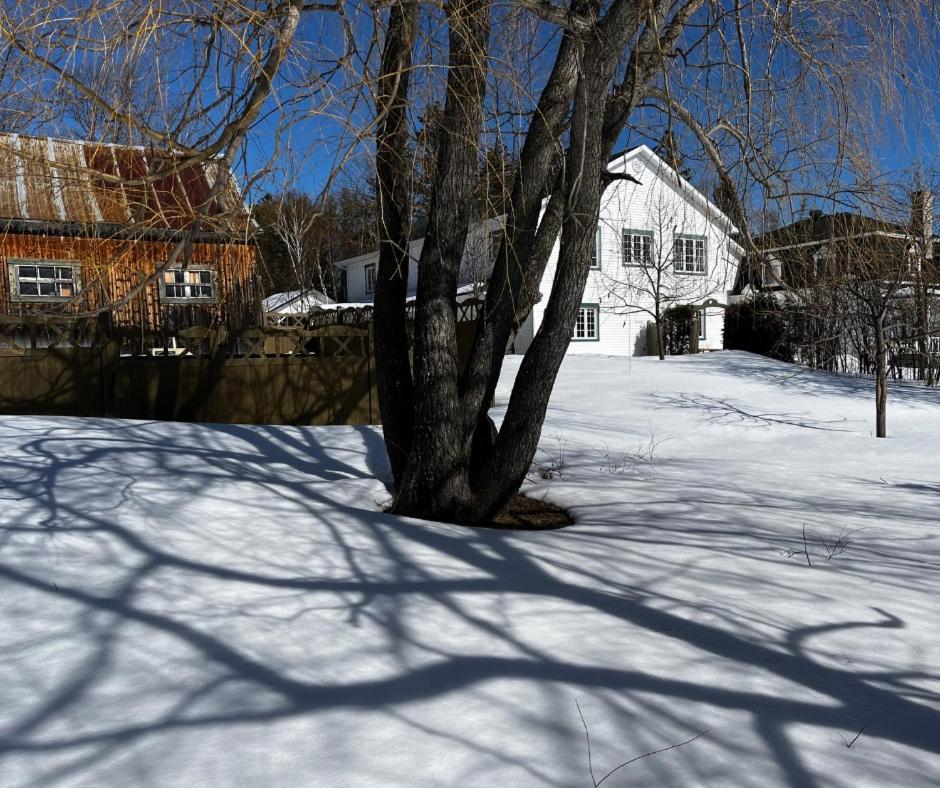 Auberge la Mansarde La Malbaie Exterior foto